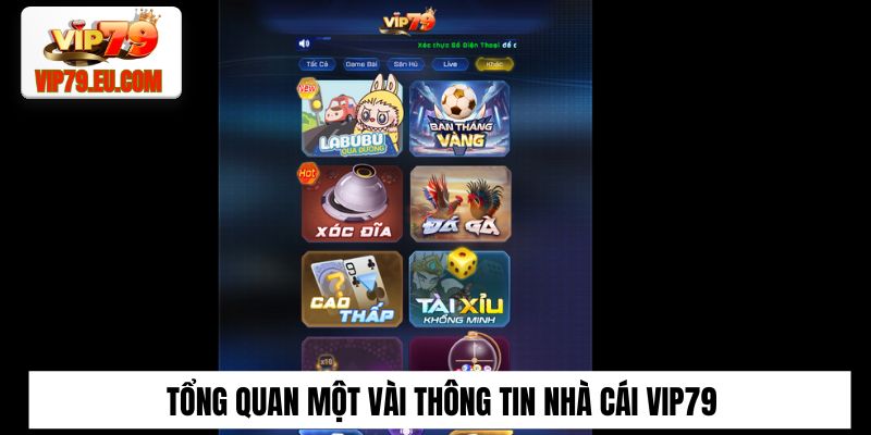 Tổng quan một vài thông tin nhà cái Vip79